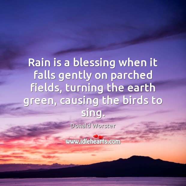 Rain is a blessing when it falls gently on parched fields, turning Donald Worster Picture Quote