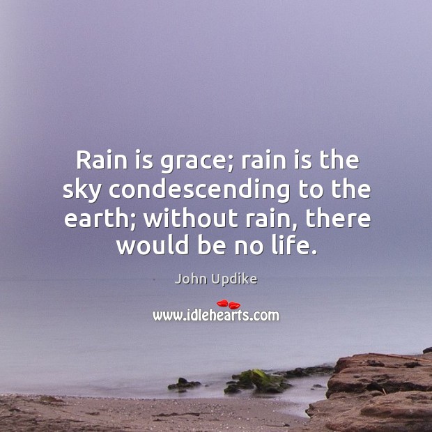 Rain is grace; rain is the sky condescending to the earth; without rain, there would be no life. John Updike Picture Quote