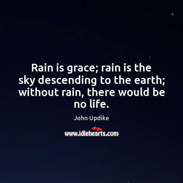 Rain is grace; rain is the sky descending to the earth; without John Updike Picture Quote