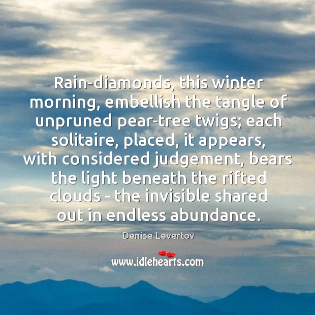 Rain-diamonds, this winter morning, embellish the tangle of unpruned pear-tree twigs; each Image