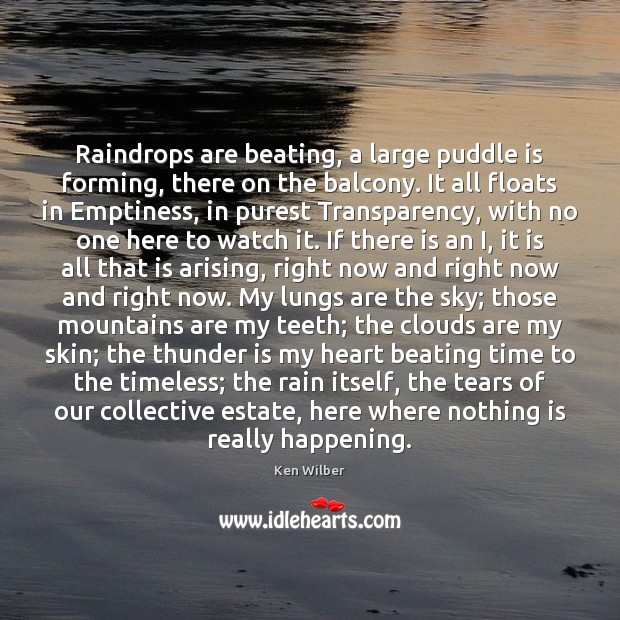 Raindrops are beating, a large puddle is forming, there on the balcony. Ken Wilber Picture Quote