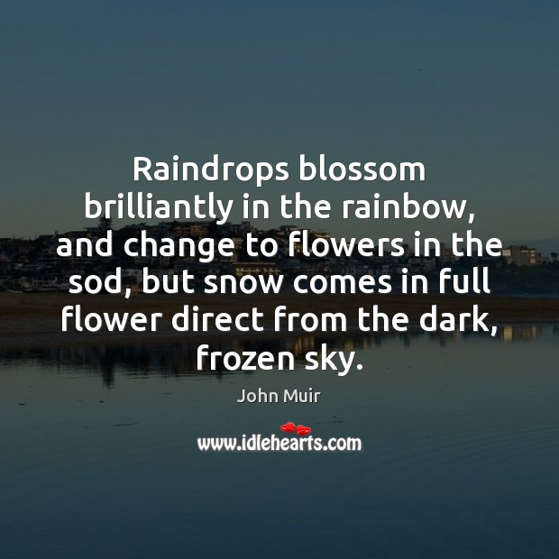Raindrops blossom brilliantly in the rainbow, and change to flowers in the John Muir Picture Quote
