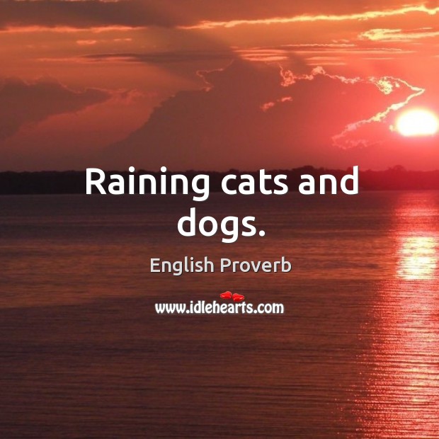 Raining cats and dogs. English Proverbs Image