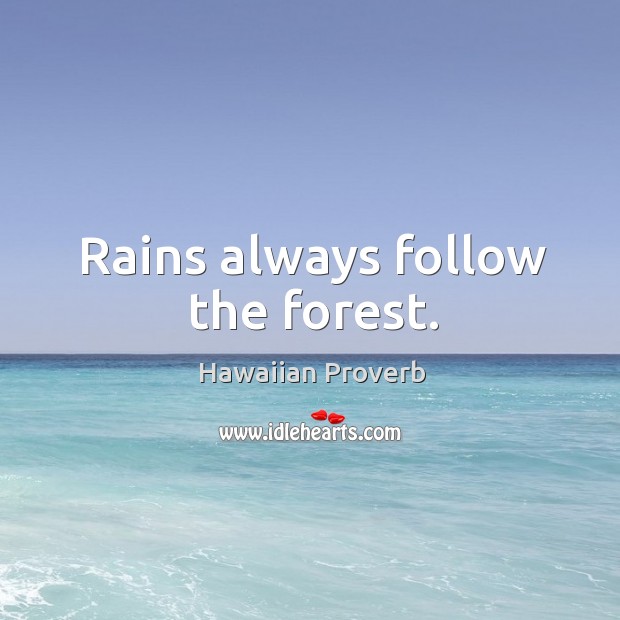 Rains always follow the forest. Hawaiian Proverbs Image
