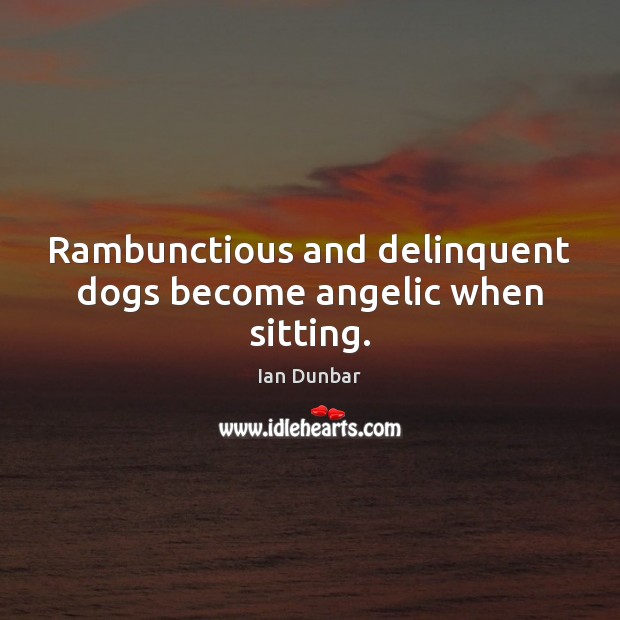 Rambunctious and delinquent dogs become angelic when sitting. Ian Dunbar Picture Quote
