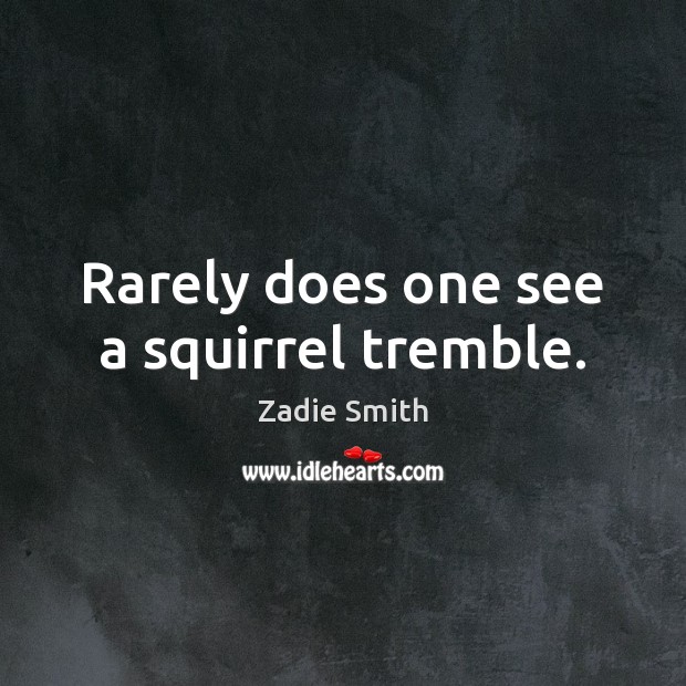 Rarely does one see a squirrel tremble. Zadie Smith Picture Quote