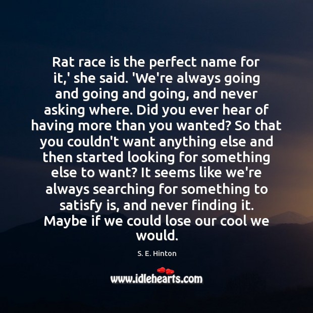 Rat race is the perfect name for it,’ she said. ‘We’re Image