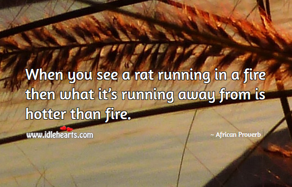 When you see a rat running in a fire then what it’s running away from is hotter than fire. African Proverbs Image