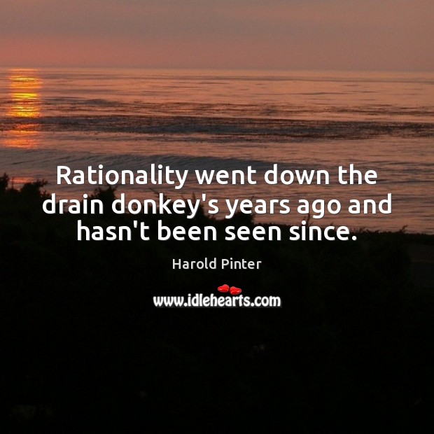 Rationality went down the drain donkey’s years ago and hasn’t been seen since. Harold Pinter Picture Quote
