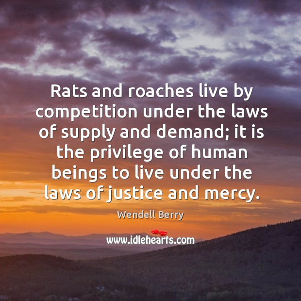 Rats and roaches live by competition under the laws of supply and Wendell Berry Picture Quote