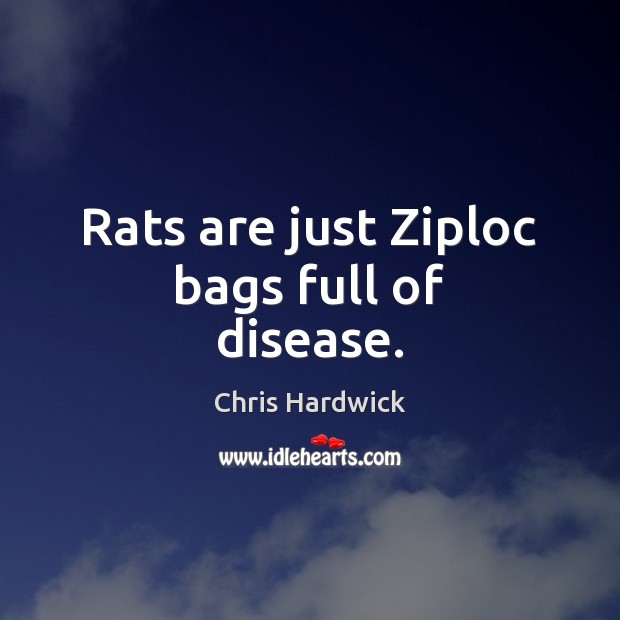 Rats are just Ziploc bags full of disease. Chris Hardwick Picture Quote