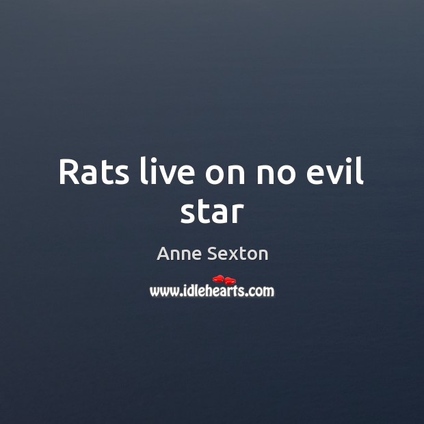 Rats live on no evil star Anne Sexton Picture Quote