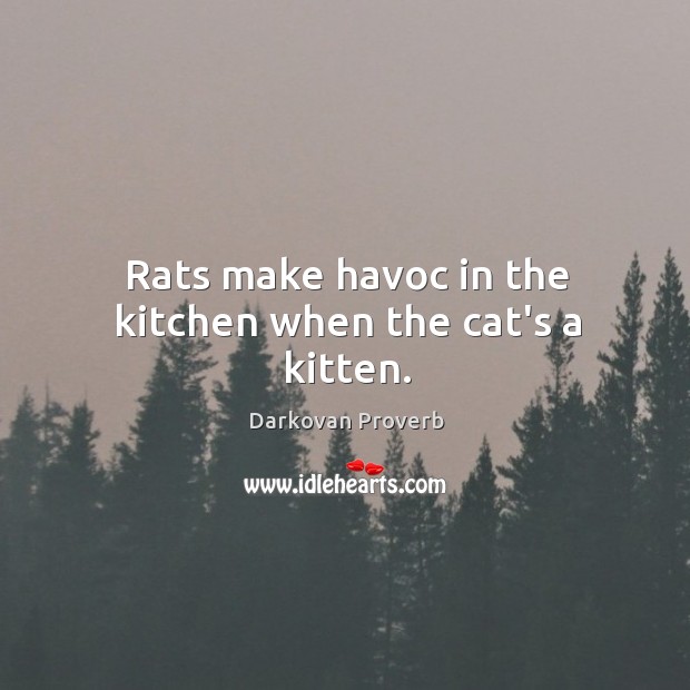 Rats make havoc in the kitchen when the cat’s a kitten. Darkovan Proverbs Image