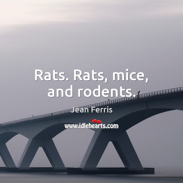 Rats. Rats, mice, and rodents. Jean Ferris Picture Quote