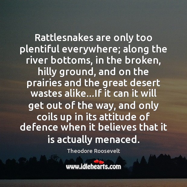 Rattlesnakes are only too plentiful everywhere; along the river bottoms, in the Theodore Roosevelt Picture Quote