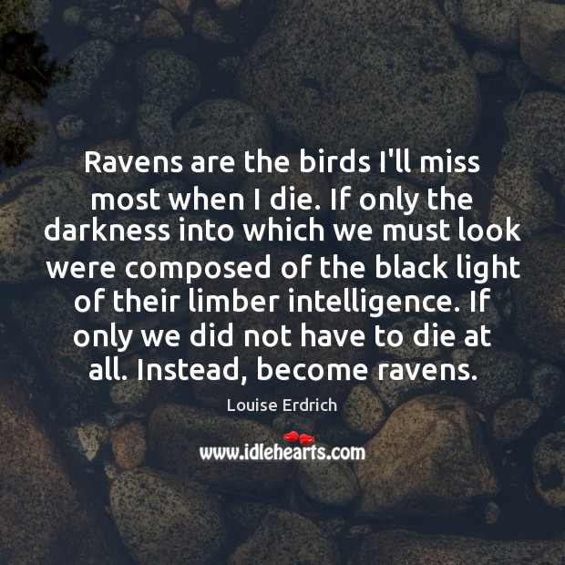 Ravens are the birds I’ll miss most when I die. If only Image