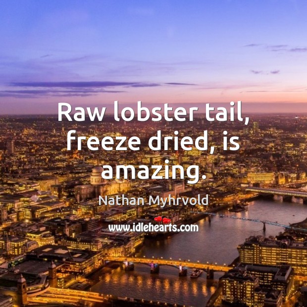 Raw lobster tail, freeze dried, is amazing. Nathan Myhrvold Picture Quote