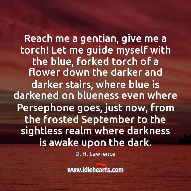 Reach me a gentian, give me a torch! Let me guide myself D. H. Lawrence Picture Quote