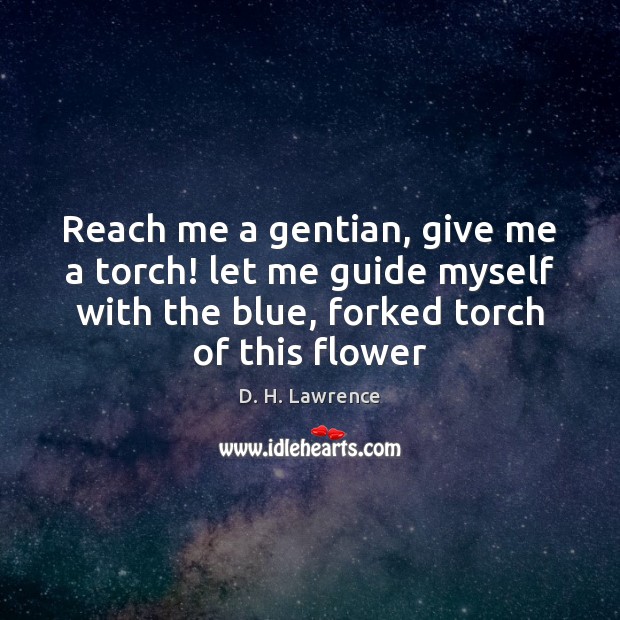 Reach me a gentian, give me a torch! let me guide myself Image