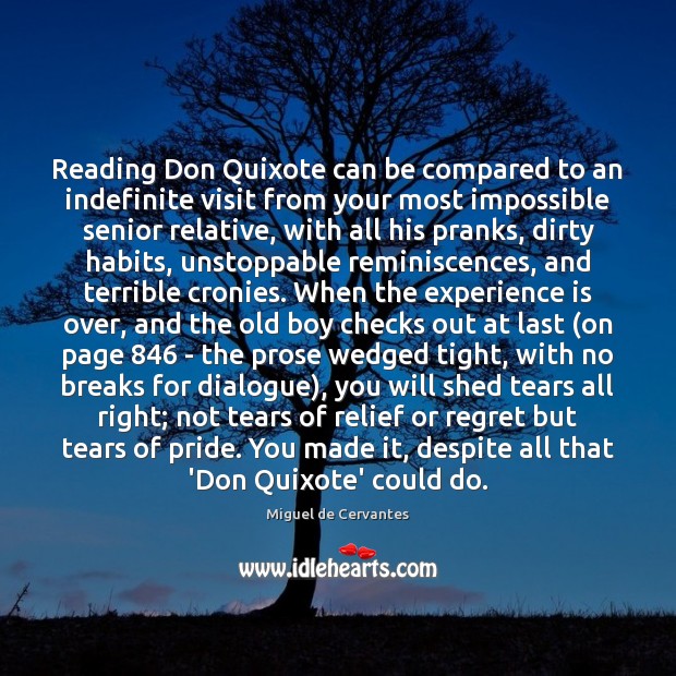 Reading Don Quixote can be compared to an indefinite visit from your Image