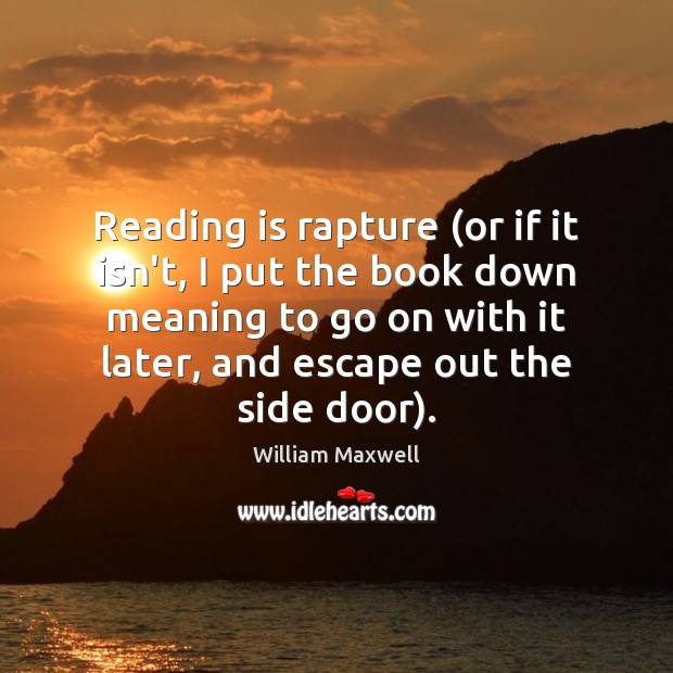 Reading is rapture (or if it isn’t, I put the book down Image