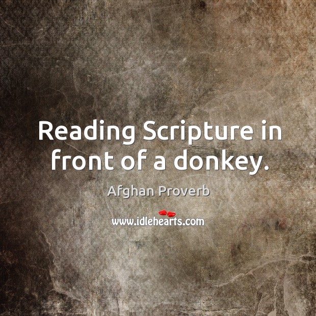 Reading scripture in front of a donkey. Afghan Proverbs Image