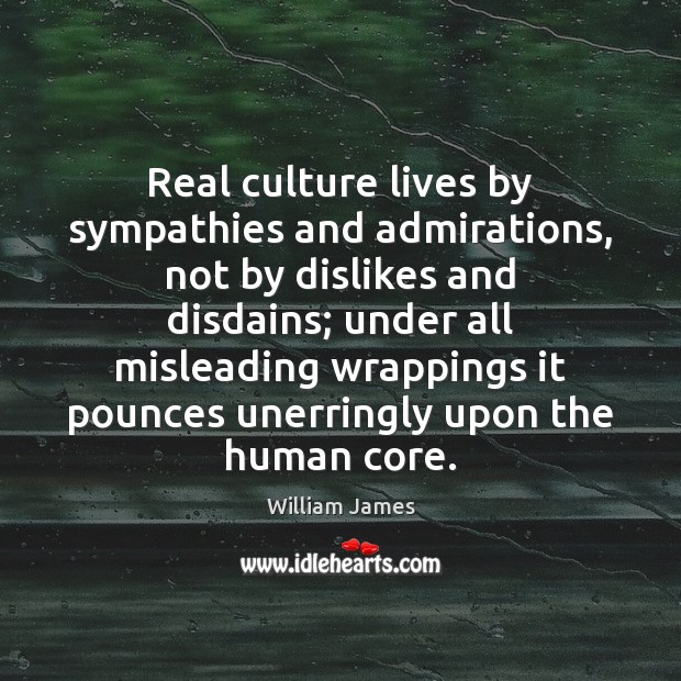 Real culture lives by sympathies and admirations, not by dislikes and disdains; Image