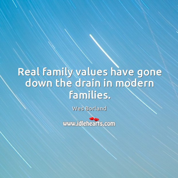 Real family values have gone down the drain in modern families. Wes Borland Picture Quote