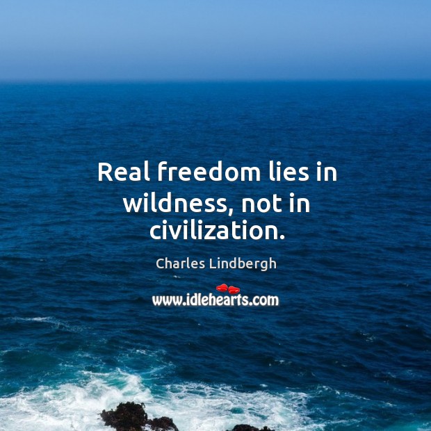 Real freedom lies in wildness, not in civilization. Charles Lindbergh Picture Quote