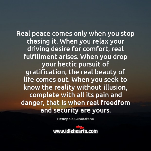 Real peace comes only when you stop chasing it. When you relax Henepola Gunaratana Picture Quote