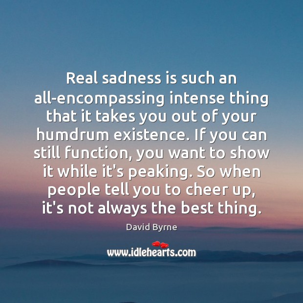 Real sadness is such an all-encompassing intense thing that it takes you David Byrne Picture Quote