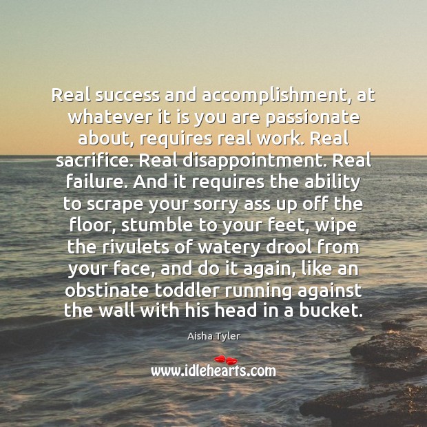 Real success and accomplishment, at whatever it is you are passionate about, Aisha Tyler Picture Quote