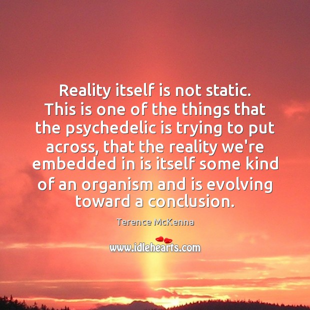 Reality itself is not static. This is one of the things that Terence McKenna Picture Quote