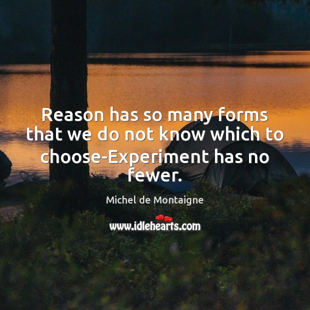 Reason has so many forms that we do not know which to choose-Experiment has no fewer. Michel de Montaigne Picture Quote