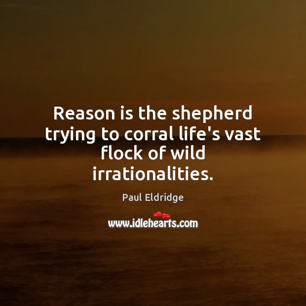 Reason is the shepherd trying to corral life’s vast flock of wild irrationalities. Paul Eldridge Picture Quote