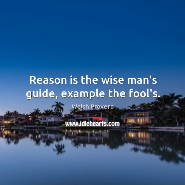 Reason is the wise man’s guide, example the fool’s. Welsh Proverbs Image