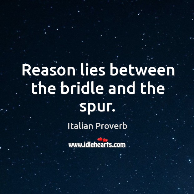 Reason lies between the bridle and the spur. Image