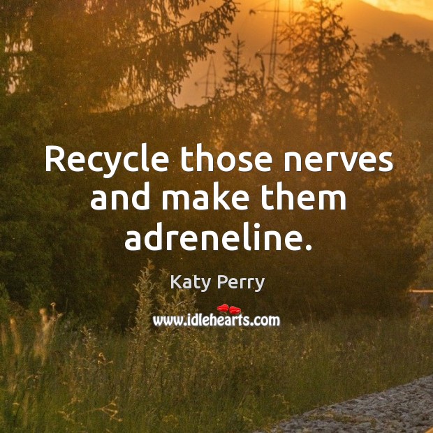 Recycle those nerves and make them adreneline. Katy Perry Picture Quote