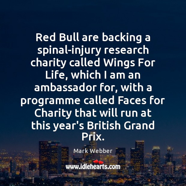 Red Bull are backing a spinal-injury research charity called Wings For Life, 