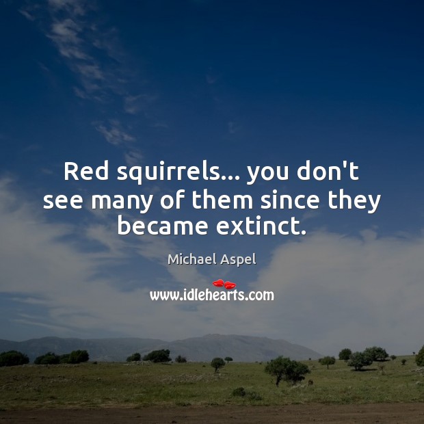 Red squirrels… you don’t see many of them since they became extinct. Image