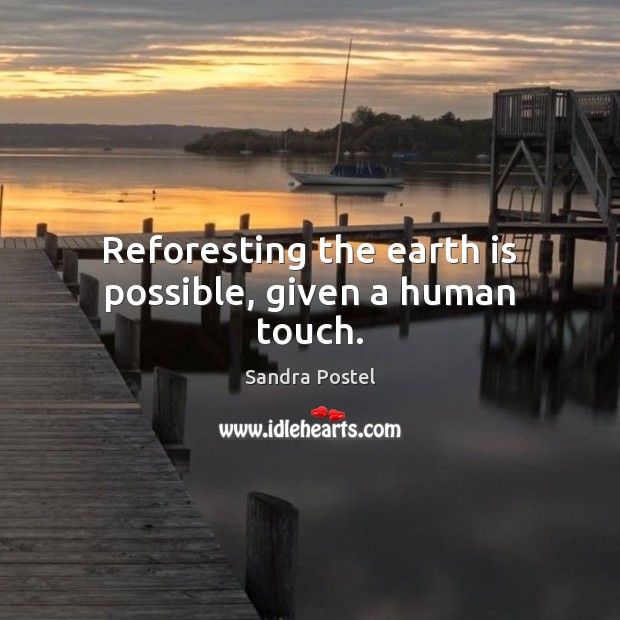 Reforesting the earth is possible, given a human touch. Sandra Postel Picture Quote