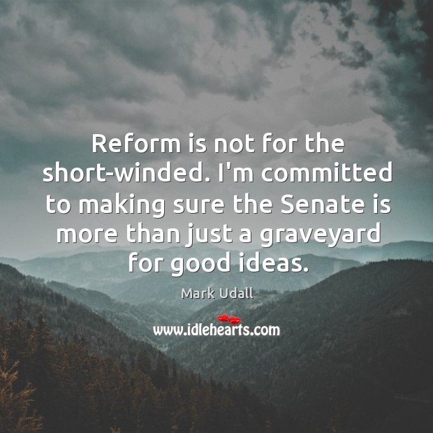 Reform is not for the short-winded. I’m committed to making sure the Mark Udall Picture Quote