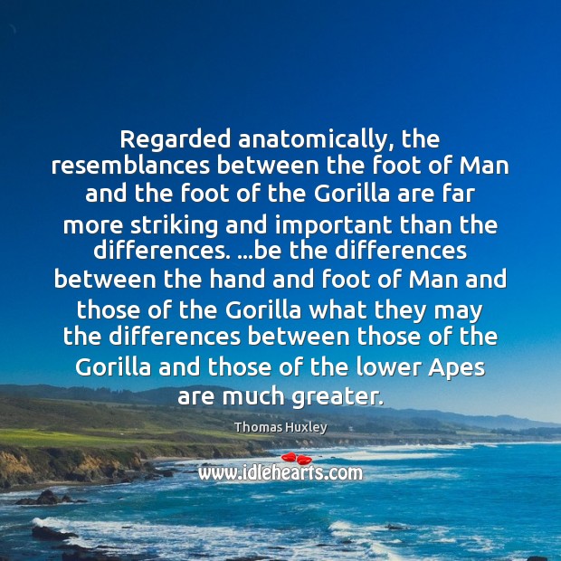Regarded anatomically, the resemblances between the foot of Man and the foot Thomas Huxley Picture Quote