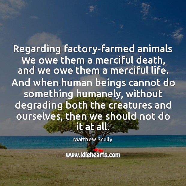 Regarding factory-farmed animals We owe them a merciful death, and we owe Matthew Scully Picture Quote