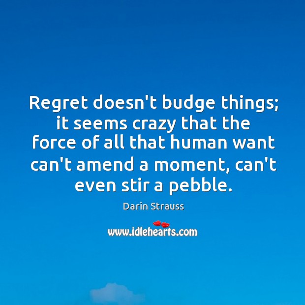 Regret doesn’t budge things; it seems crazy that the force of all Darin Strauss Picture Quote