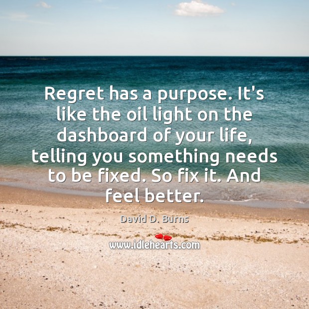 Regret has a purpose. It’s like the oil light on the dashboard David D. Burns Picture Quote
