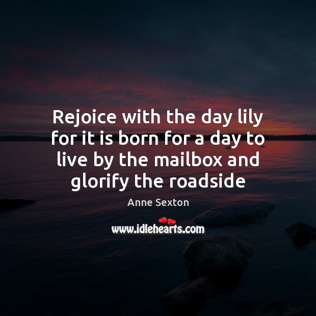 Rejoice with the day lily for it is born for a day Anne Sexton Picture Quote