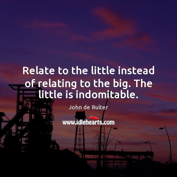 Relate to the little instead of relating to the big. The little is indomitable. John de Ruiter Picture Quote