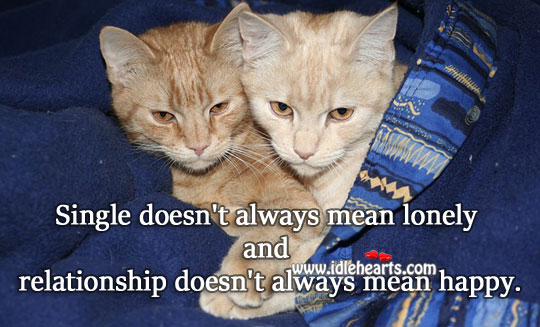 Single doesn’t always mean lonely Lonely Quotes Image