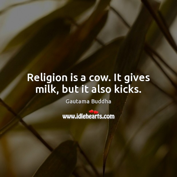 Religion is a cow. It gives milk, but it also kicks. Gautama Buddha Picture Quote